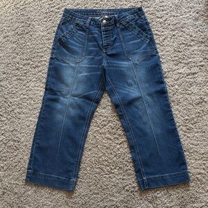 Hydraulic Murray Wide Leg Crop Jeans